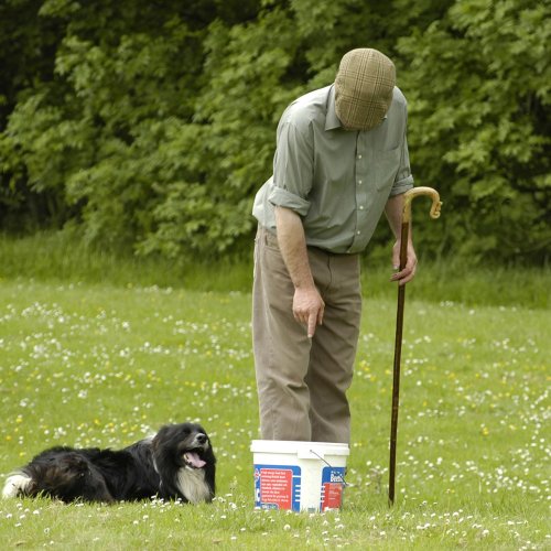  Philip Walton of Wanwood Hill and Cap. Farmer and sheep dog.